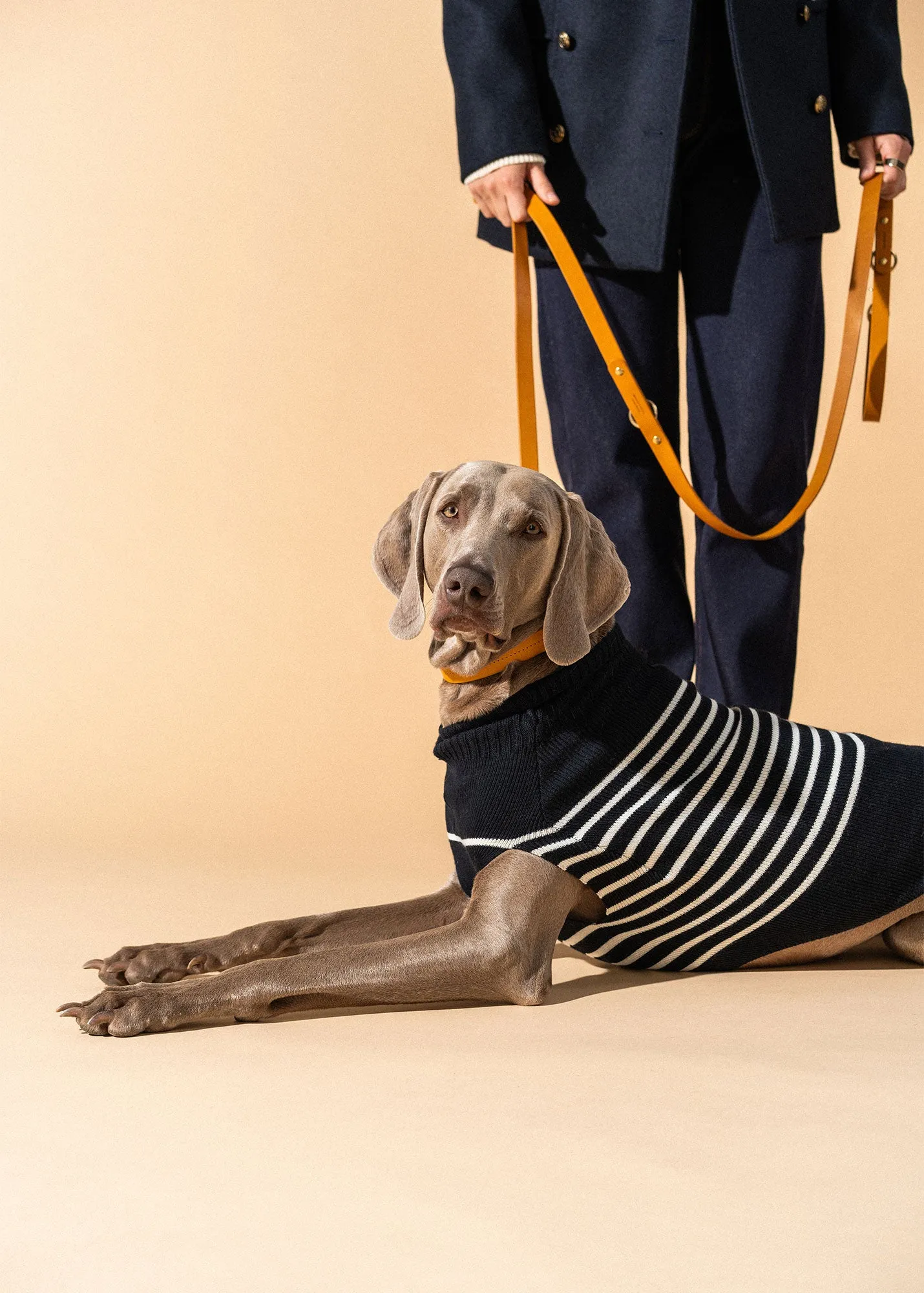 PARISIAN PUP SWEATER - Authentic Breton Striped Sweater for Dogs | Wool Blend (NAVY / IVORY)