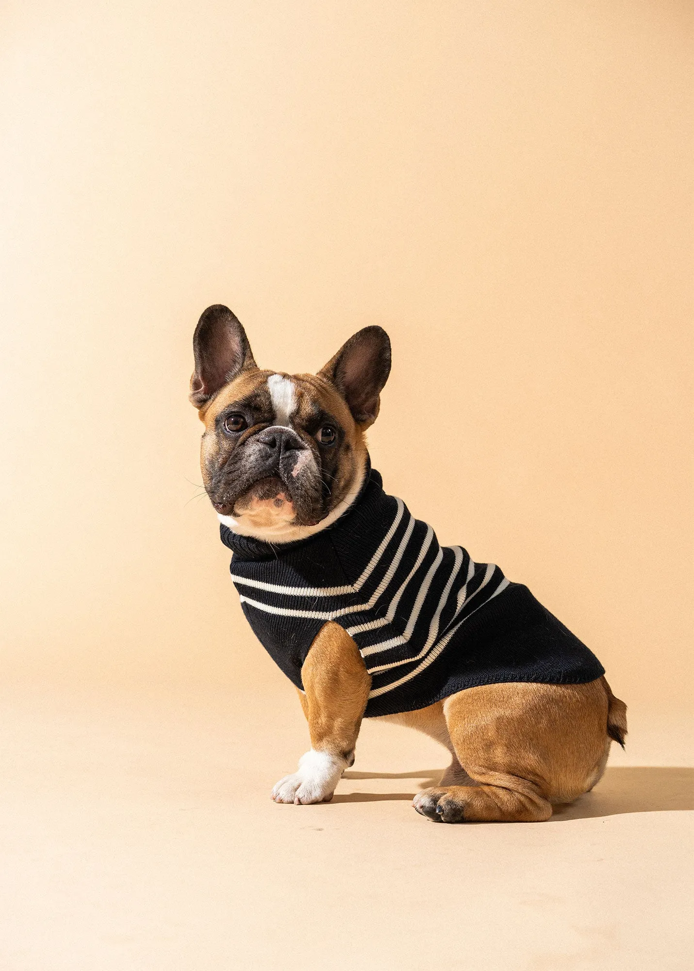 PARISIAN PUP SWEATER - Authentic Breton Striped Sweater for Dogs | Wool Blend (NAVY / IVORY)